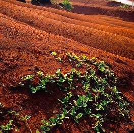《星球大战：亡命之徒》2024年的销量甚至不及《星球大战绝地：幸存者》