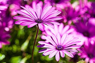 《武装突袭Reforger》泄露！首次登陆主机平台